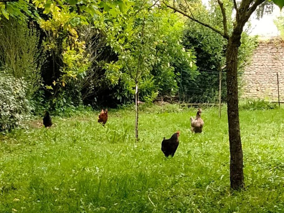 Le Cinq, Au Coeur Du Vexin Villa Themericourt Bagian luar foto