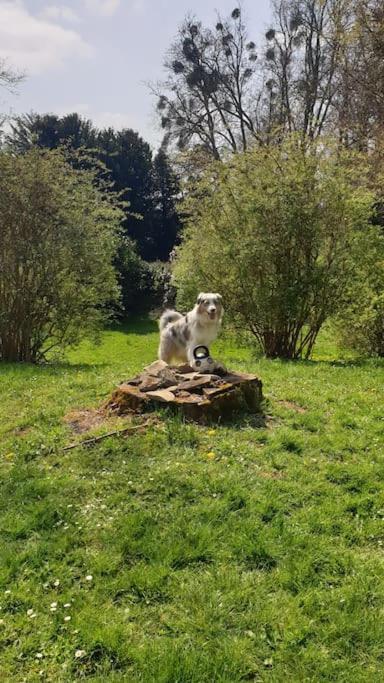 Le Cinq, Au Coeur Du Vexin Villa Themericourt Bagian luar foto